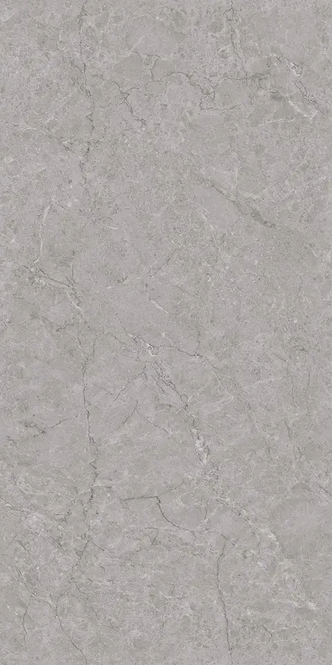 REFINE GREY SILK view 2
